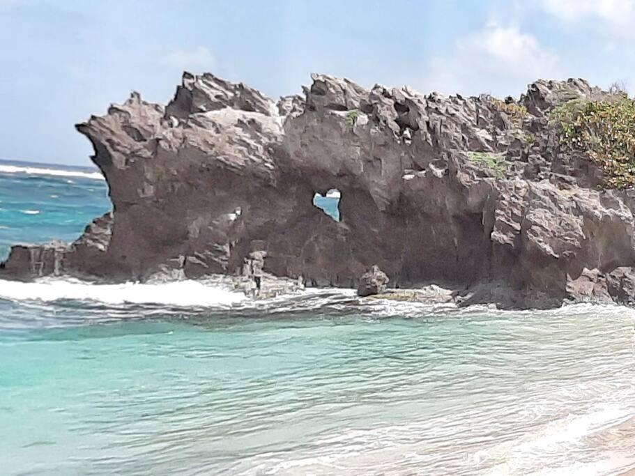 לה דיאמנט Superbe Studio, A 20 Metres De La Plage, Acces Direct Grande Plage Diamant מראה חיצוני תמונה